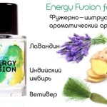 Energy-Fusion-for-him