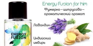 Energy-Fusion-for-him