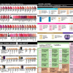 avon-focus-02-2017-7