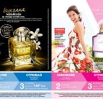 avon-focus-03-2017-2