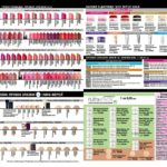 avon-focus-03-2017-8