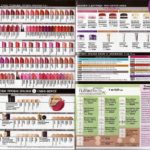 avon-focus-1-2017-8